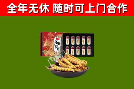 濮阳市回收冬虫夏草价格